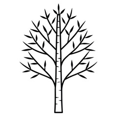 birch tree outline icon