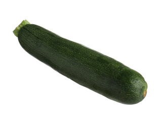One fresh ripe zucchini isolated on white