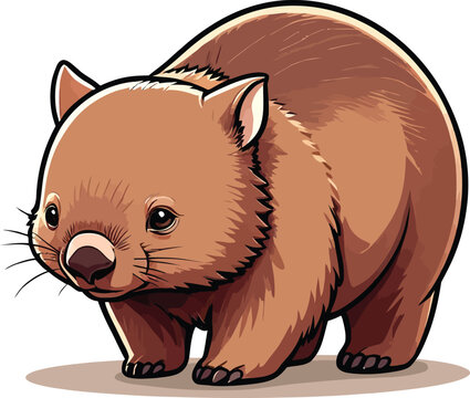 Cute cartoon a illustrator vector wombat
