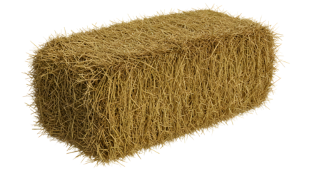 FARMING - Rectangular hay bale isolated on white background, dry straw bundle for farm and rural decoration