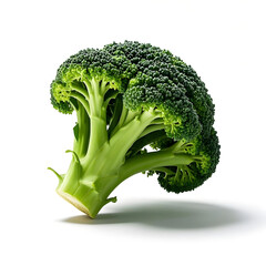 Fresh vibrant green broccoli head isolated on white background, a healthy superfood staple