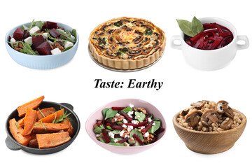 Different dishes with earthy taste isolated on white, set