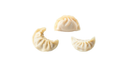 Dumpling on transparent png background