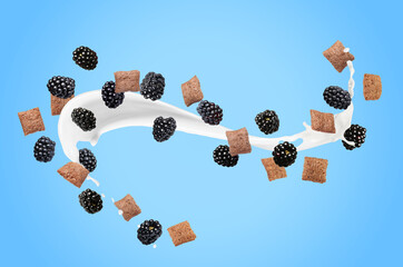 Splashing milk with sweet corn pads and fresh blackberries in air against light blue background....