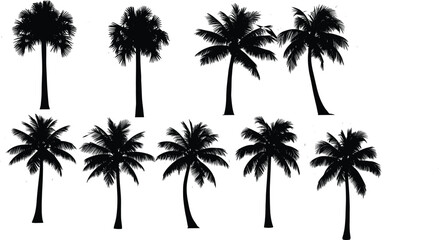 Set of black palm tree silhouettes, tropical summer nature collection, exotic island scenery, vector design for beach vacation theme