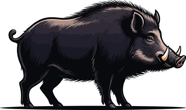 Cute cartoon a illustrator vector wild boar