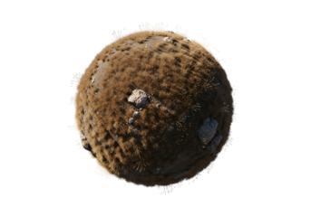 A spherical, barren landscape, showcasing dry, brown vegetation and light-colored rocks, is presented against a dark backdrop.