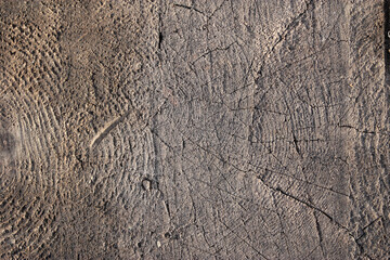 The old scratched texture of the wooden plank