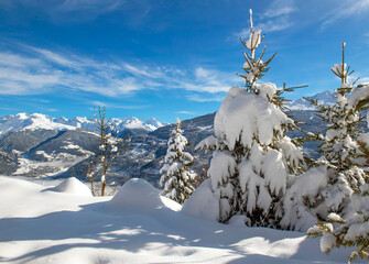 view of snowy alpine mountain range with firs covered with fresh snow in the tarentaise valley in...