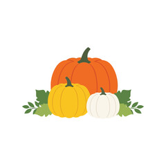 Autumn harvest pumpkins gourds seasonal vegetables fall festive decor vector