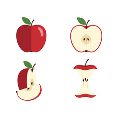 Vibrant apple illustrations whole sliced core and bite isolated on clean backdrop vector