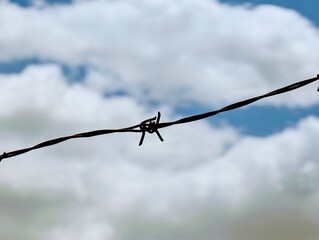 barbed wire against blue sky