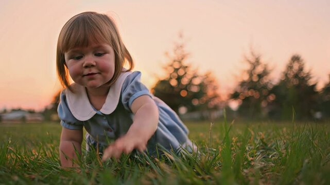 Adorable baby girl exploring nature, crawling in green grass during a beautiful sunset