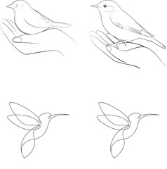 4 icon set of hand with birds eps vector