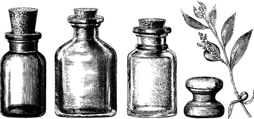 Vintage engraved set of essential oil bottles with botanical elements - design for aromatherapy and wellness themes