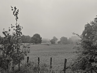 monochrome view of silent foggy landscape in the countryside