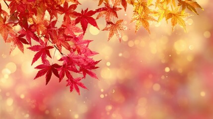 Fototapeta premium web banner design for autumn season and end year activity with red and yellow maple leaves with soft focus light generative ai