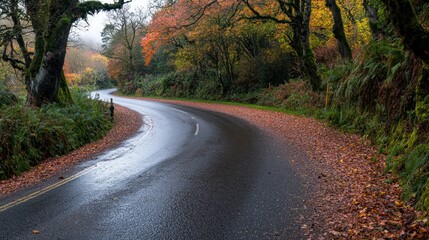 Naklejka premium Winding road curves through a forest in autumn, with fallen leaves scattered on the asphalt and colorful foliage overhead.