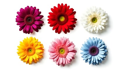 A vibrant floral arrangement on a clean white background. A concept for spring, nature, and celebrating diversity. Generative Ai.