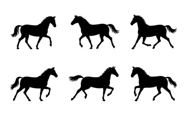 Obraz premium Six Black Horse Silhouettes in Motion on White Background Keywords: horse, silhouette, animal