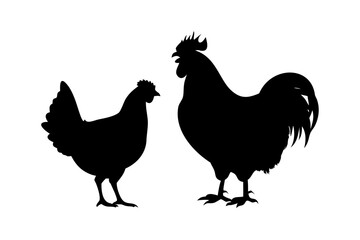 Fototapeta premium Silhouette of chicken and rooster animal, black contour farm hen. Household bird farm. Vector icon 