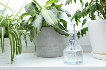 Spray bottle and different houseplants on windowsill indoors, closeup