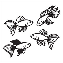 A Vibrant and Elegant Betta Fish, a Beautiful and Graceful Pet with Long, Flowing Fins and a Brilliant Blue and Red Tail, Swimming in a Clear Aquarium