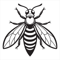 A Threatening Hornet Portrait, a Fierce and Vigilant Insect Guarding its Nest, a Symbol of Aggression and Raw Nature