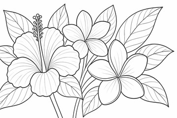 Hibiscus and frangipani tropical flowers with leaves, exotic floral coloring page outline