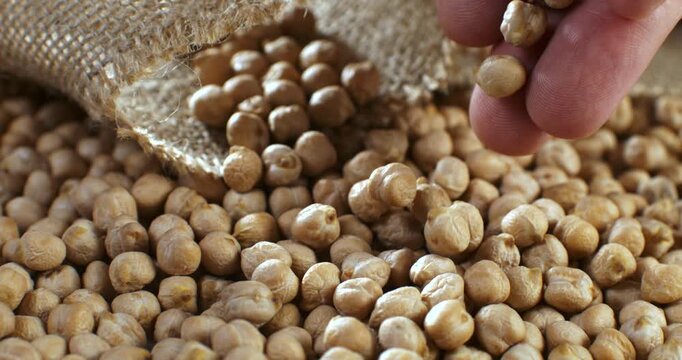 Slow motion close-up hand picking chickpeas from sack with rustic texture, organic legumes pulses for cooking, healthy vegan protein food at 1000 fps