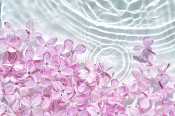 Obraz premium Abstract background with water and flowers. Space for the text.