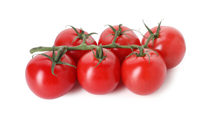 Many ripe red tomatoes isolated on white