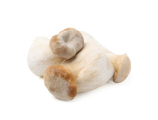 Fresh raw eryngii mushrooms isolated on white