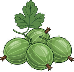 Naklejka premium Fresh green gooseberries with leaf realistic illustration vibrant fruit healthy ingredient summer harvest vector