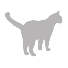 Silhouette of a standing cat with a curled tail
