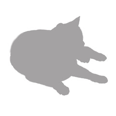 Silhouette of a gray cat lying down on a black background