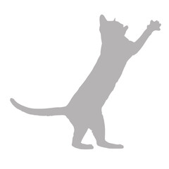 Grey cat silhouette reaching upwards against black background
