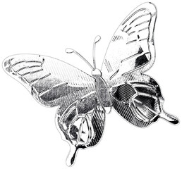 Detailed metallic silver butterfly illustration with engraved texture on wings, symbolizing transformation, elegance, and fantasy charm.