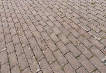 The Textured Paver Brick Pattern is perfect for stunning landscaping and functional driveways. Detailed closeup view of interlocking paver bricks, which are ideal for constructing patios and pathways