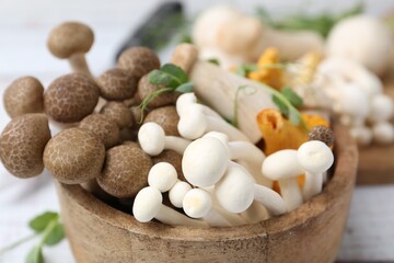 Different raw mushrooms and microgreens in bowl on light table, closeup