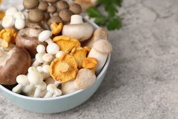 Different raw mushrooms in bowl on grey textured table, closeup. Space for text