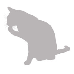 Silhouette of a gray cat grooming itself against a black background