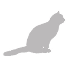 Silhouette of a sitting cat on a black background