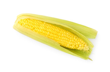 One tasty boiled corncob isolated on white, top view