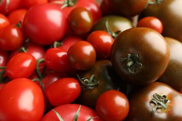 Different ripe juicy tomatoes as background, closeup