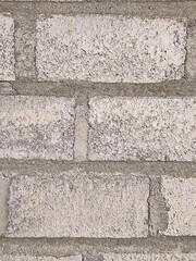 Textured cinder blocks create a rustic backdrop with a sense of solidity and raw industrial beauty.