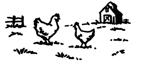An outline vector illustration of a cage free chickens
