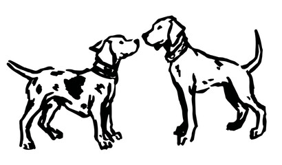 An outline vector illustration of a two dogs