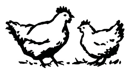 An outline vector illustration of a two chicken