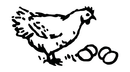 An outline vector illustration of a cage free chicken with four eggs